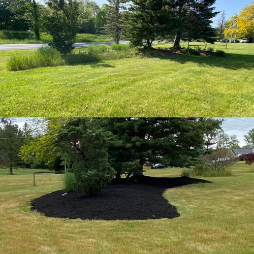 Fall Clean Up for Cuellar Lawn Care in Stone Ridge , NY 
