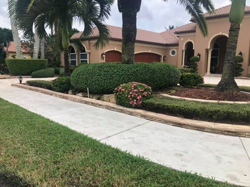 Shrub Trimming for VS Landscaping Services inc. in Fort Lauderdale, FL