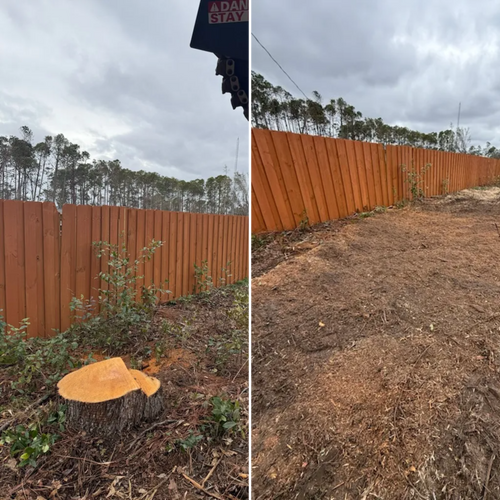  for Thompson Forestry Mulching & Stump Grinding in Douglas, GA