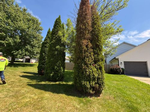  for Cena Landscaping in Rockford, IL