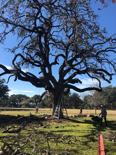  for Neighborhood Lawn Care and Tree Service  in San Antonio, TX