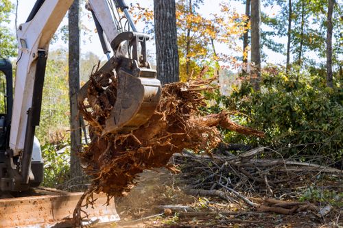 Land Clearing for Dirty South Land Management  in Robertsdale, AL