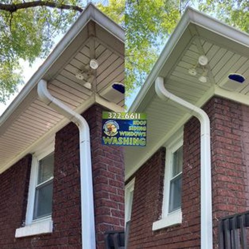 Gutter Cleaning for Total Property Solutions in Saint Matthews, KY