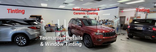 Paint Correction for Tasmanian Details in Milford, DE