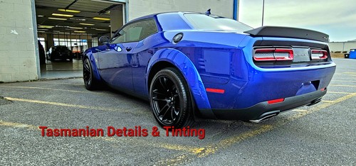 Full Detail Service for Tasmanian Details in Milford, DE