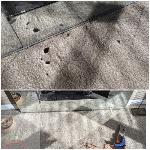 Carpet Cleaning for SteamMaster's in Concord, NC