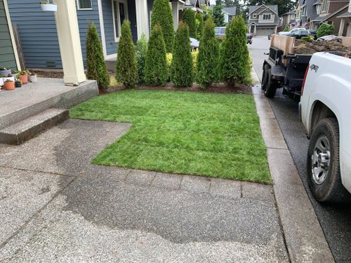 Sod Layouts for Avenscapes NW, LLC in Getchell, Washington