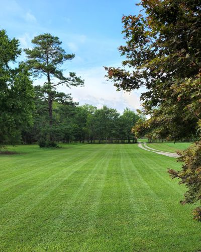 Mowing for Muddy Paws Landscaping in Lugoff, SC
