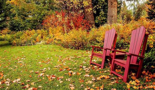 Weekly Maintenance for Sexton Lawn Care in Jefferson, GA