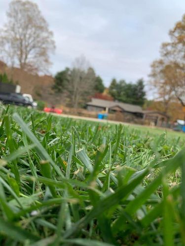 Residential Lawn Care for HG Landscape Plus in Asheville, NC