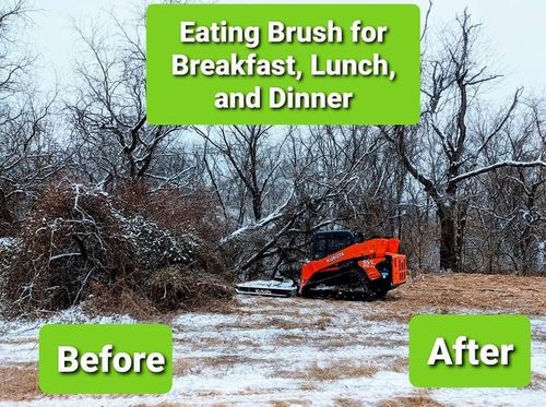 Fall and Spring Clean Up for Viking Dirtworks and Landscaping in Gallatin, MO
