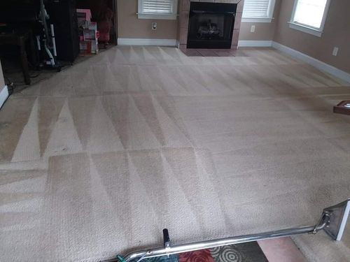 Carpet Cleaner for Steam Bros LLC in Greensboro, NC