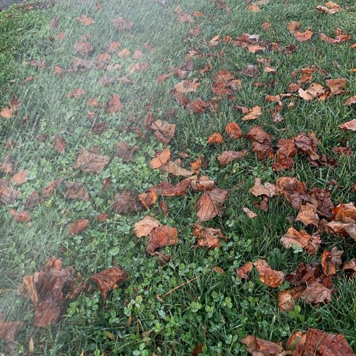 Residential Lawn Care for HG Landscape Plus in Asheville, NC