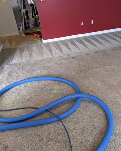 Carpet Cleaner for Steam Bros LLC in Greensboro, NC