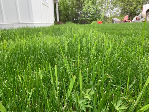 Lawn Care for Avenscapes NW, LLC in Getchell, Washington