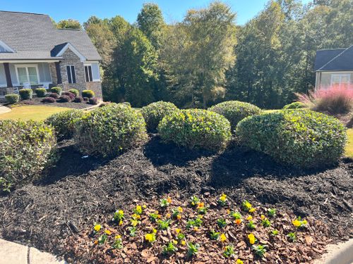 Weekly Maintenance for Sexton Lawn Care in Jefferson, GA