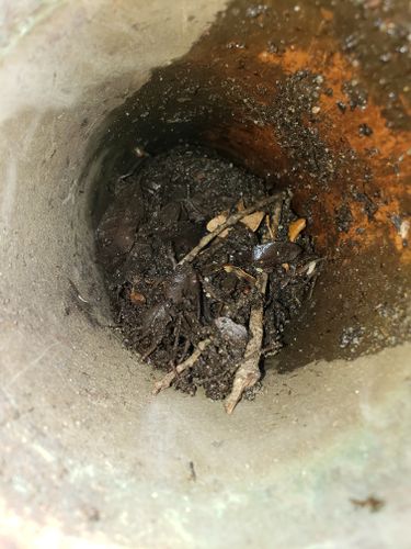 Gutter Cleaning for Sam's French Drains and Landscape in Orlando, Florida