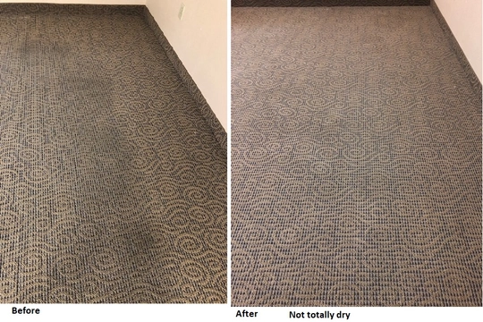Carpet Cleaning company TLC Carpet & Tile Cleaners in Surprise, Arizona