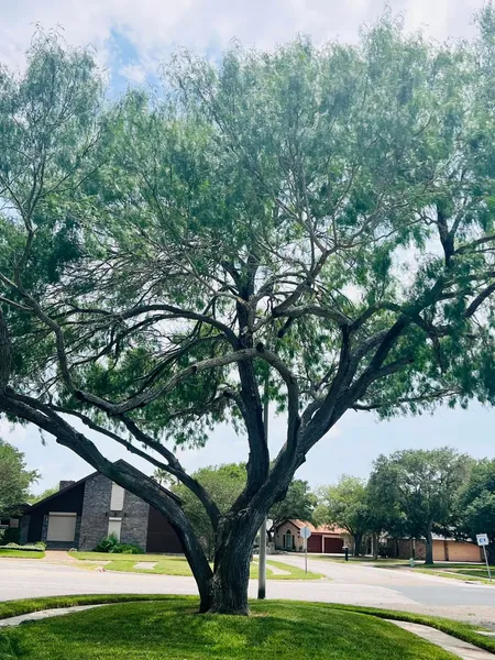 hero-photo mini tile