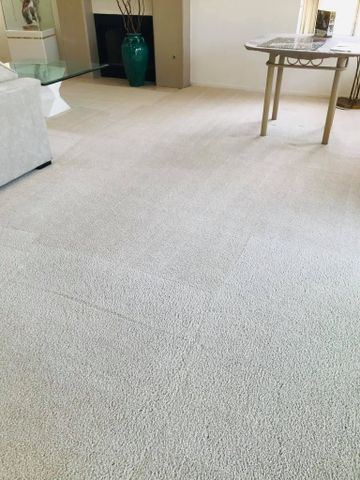 Carpet Cleaning for Superstition Carpet and Tile Care LLC in Apache Junction, AZ