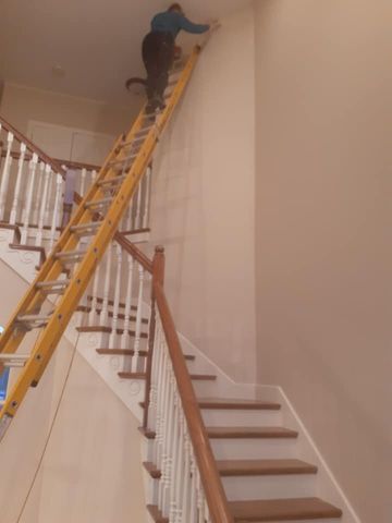 Interior Painting for BRUSH BIZ in Vermilion, OH