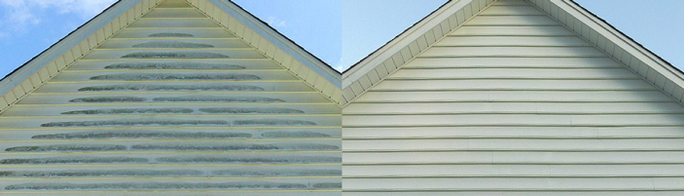 All Photos for Performance Power Washing in Lewisburg, WV