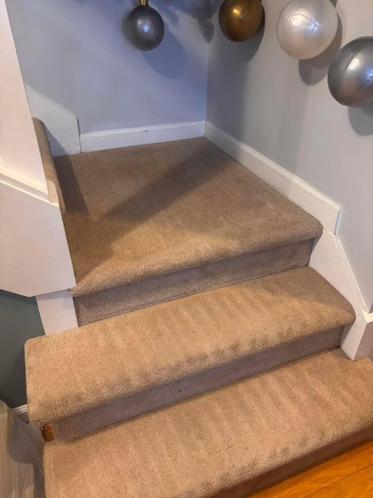 Freshly cleaned carpeted staircase in a Birch Run area home