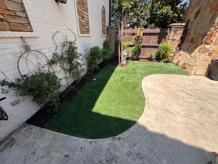 Fresh sod side yard with a curved concrete border and climbing plants