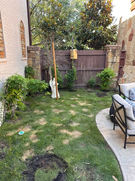 New sod side yard beside patio furniture and a stone wall
