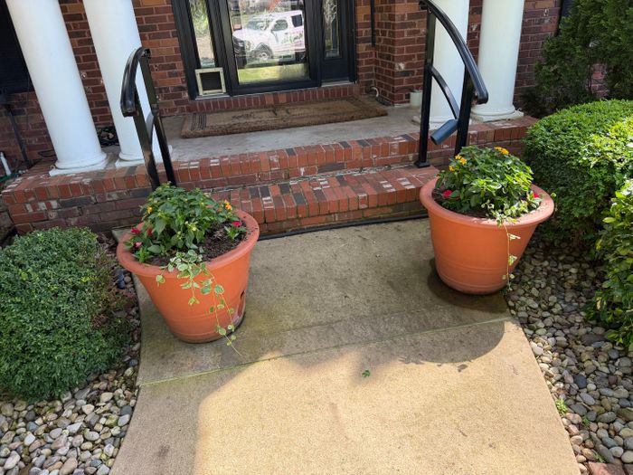 Project