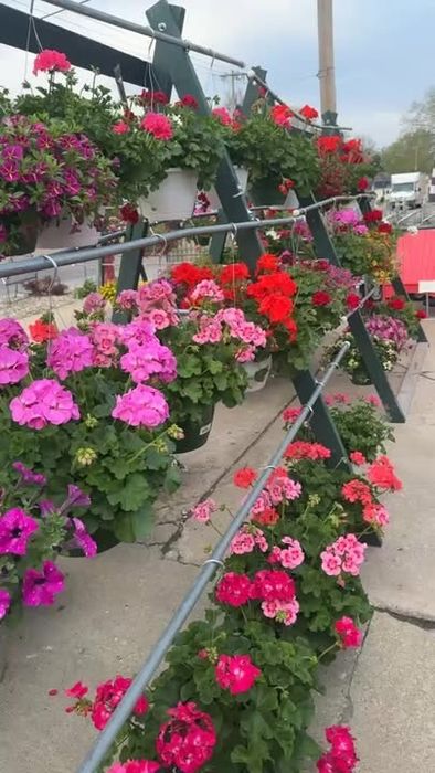 The garden center