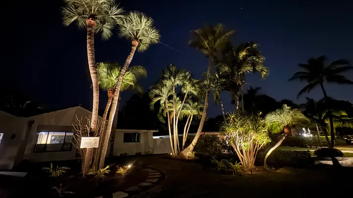 Front of a home with uplit palms at night