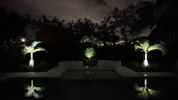 Pool, patio and palms lit at night
