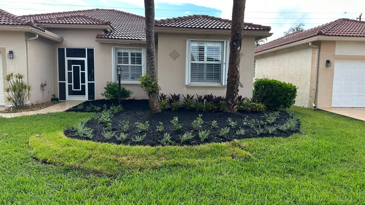Landscape design: mulched planting bed with a palm and shrubs in front of a South Florida home