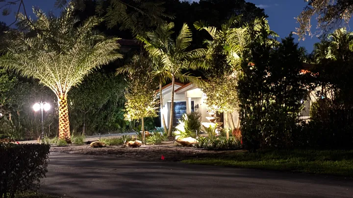 Landscape lighting: uplit palms and a lit front entry at night