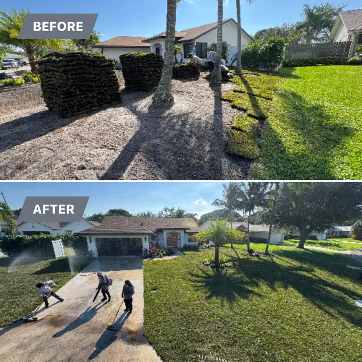 Sod installation: the crew finishing a new front lawn