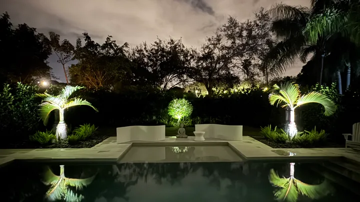 Uplit palms reflected in a pool at night