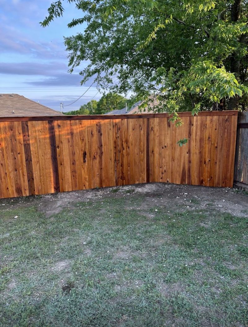 Stained cedar corner under a tree