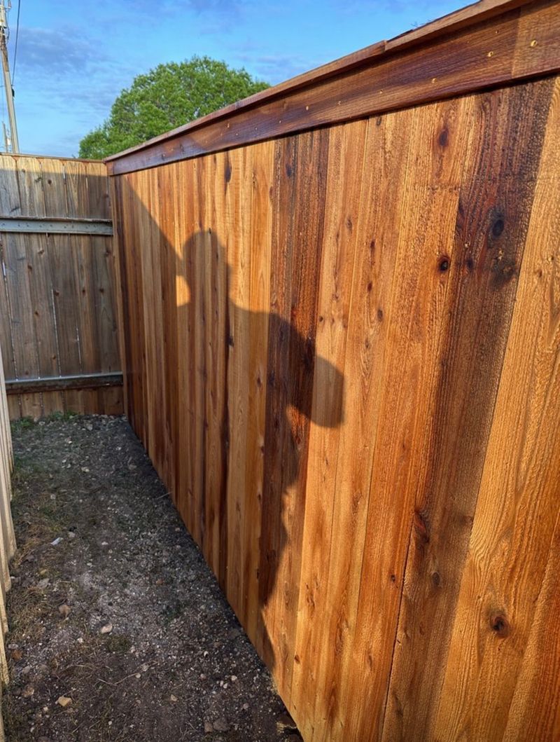 Stained cedar privacy fence, side yard