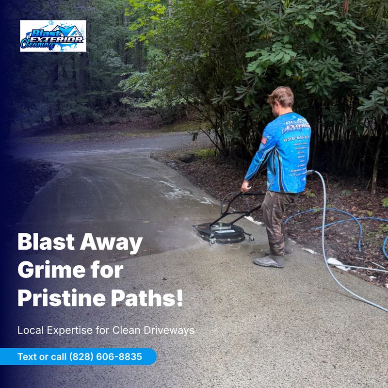 Driveway and Sidewalk Cleaning
