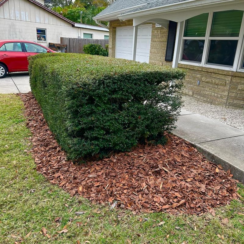 Landscape Maintenance