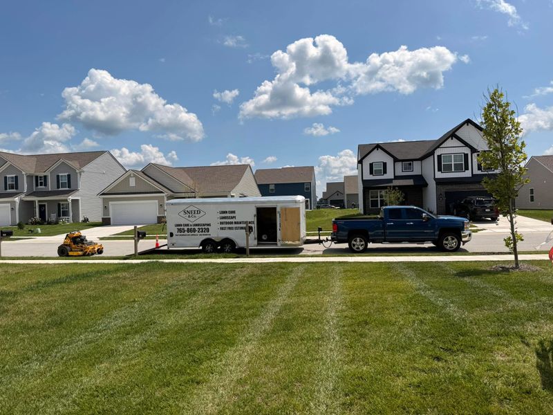 Lawn Care and Maintenance