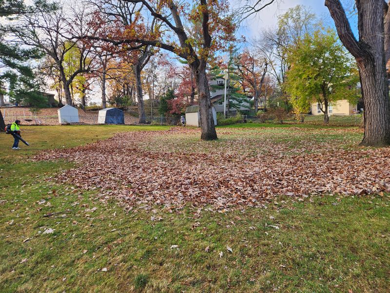 Fall clean up 