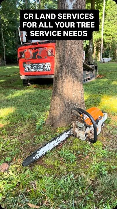 Tree Work
