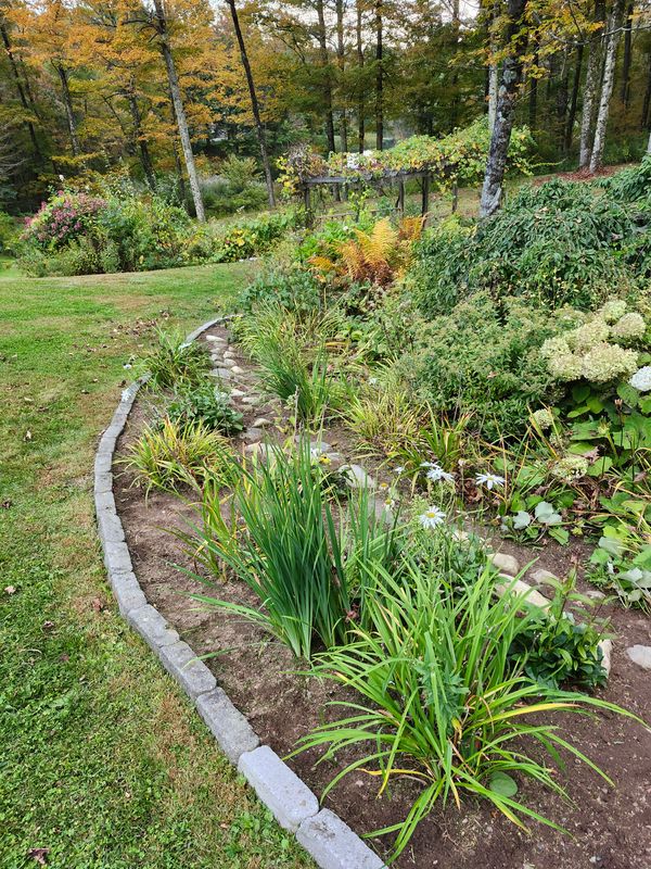 Patio Design & Construction