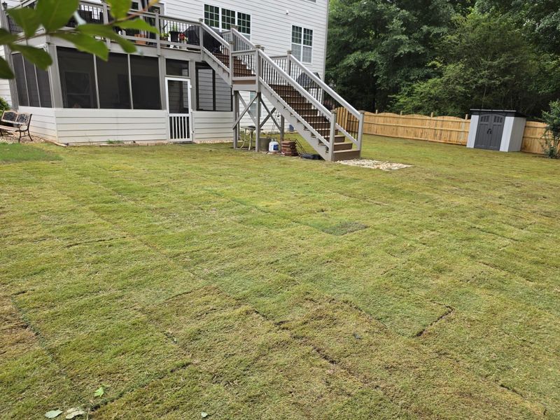 Sod Installation