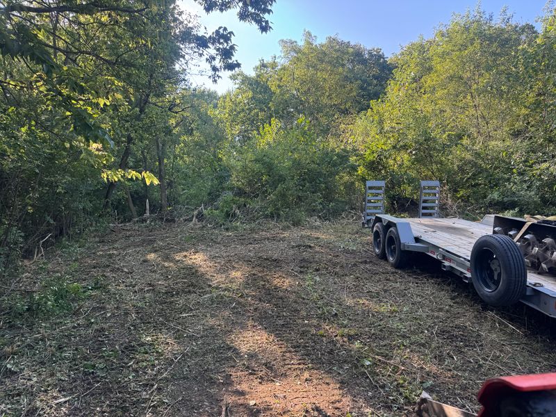 Land Clearing