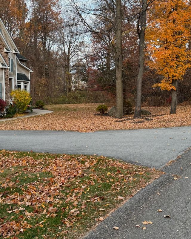 Fall Clean Up