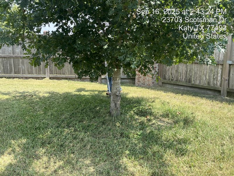 Lawn and Yard Maintenance
