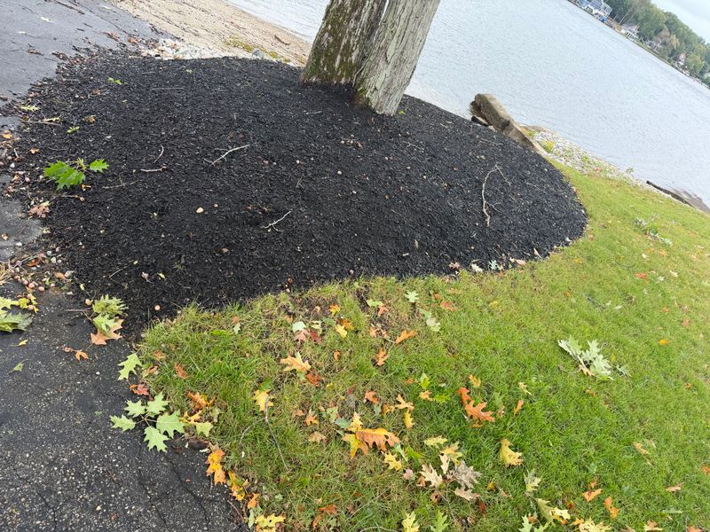 Spring and Fall Clean Up